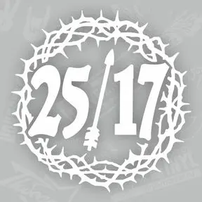 наклейка 25 / 17
