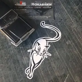 белая наклейка с кошкой