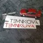 виниловая наклейка Temnikova