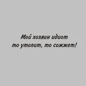 черный цвет