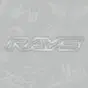серебристо-серая наклейка RAYS