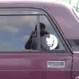 На фото размер 10 см