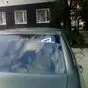 На фото наклейка размером 20 х 9 см