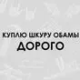 черный цвет