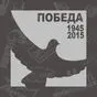 серебристо-серый цвет
