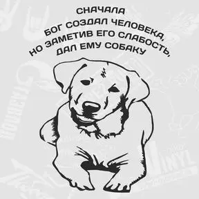 черный цвет