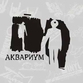 черный цвет