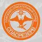 оранжевый цвет