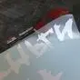 Виниловая наклейка Деньги на ветер